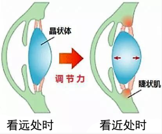 兒童視力防控小常識！