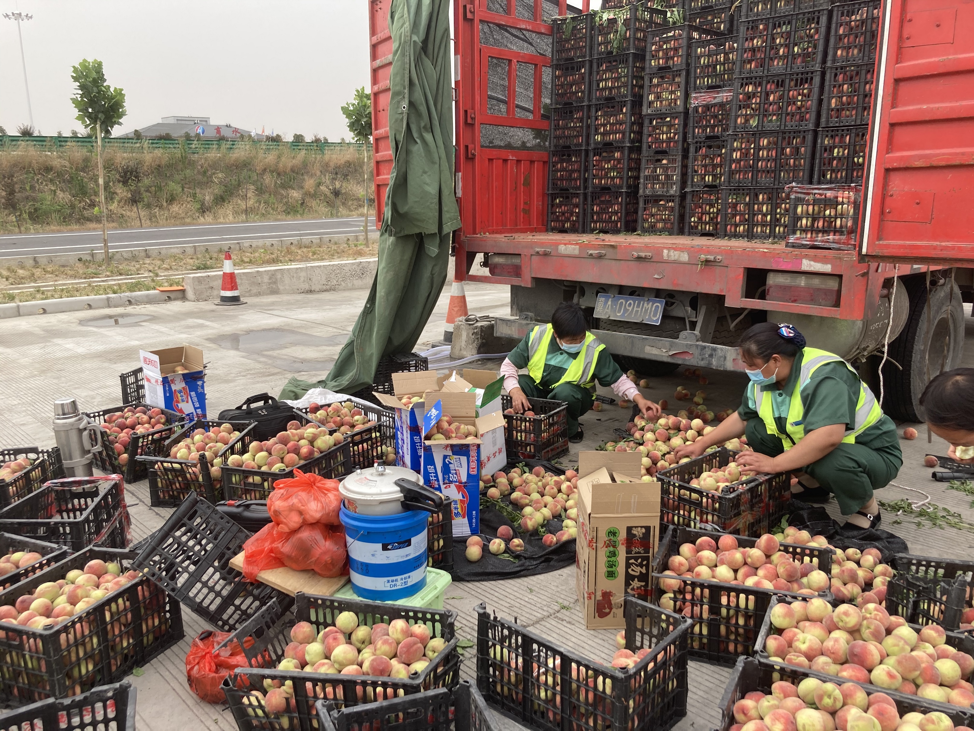 圖說：6月4日，一輛運輸水果的貨車在行駛到商水服務區下道口時，由于速度過快，車輛發生側翻事故，車上滿載的水果隨車輛拋灑一地。服務區及時救援，并組織員工不畏炎熱幫助車主撿拾水果。.jpg